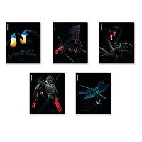 Тетрадь 48л. (клетка) EK "Attention" 63319 выб.уф-лак,мат.лам.,асс.