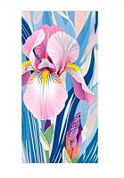 Конверт д/денег Мир поздравлений 70001020