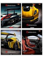 Тетрадь 36л. (клетка) Проф-Пресс "Эксклюзивные кипекары" 36-0393 офсет№2