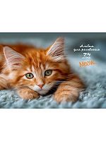 Альбом для рис.24л. Проф-Пресс склейка "Котик-4" 24-2413 обл.карт,блок-офс