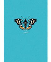 Записная книжка А6  64л. ЭКСМО тв.обл. "Бабочка" КЗБ6644083 тв.обл.,блёст.,выб.лак,мат.лам.