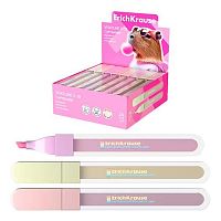 Маркер текст. EK Visioline V-18 "CapyBarbara" 63550 асс.