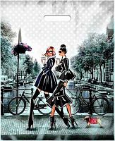 Пакет проб. 38*47 ПВД "Подружки" лам.,60мкм