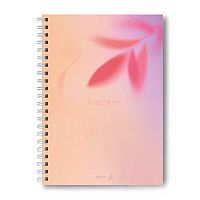 Тетрадь 80л. (клетка) А4 SVETOCH спираль "Рассвет" Т217 (01571) тв.обл.,мат.лам.