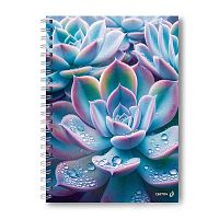 Тетрадь 80л. (клетка) А4 SVETOCH спираль "Суккулент" Т218 (01570) тв.обл.,выб.лак,мат.лам.