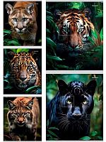 Тетрадь 48л. (линейка) Проф-Пресс "Взгляд диких кошек" 48-4806 цв.мел.обл.