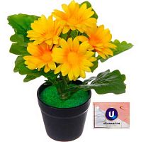 Цветочная композиция Ultramarine "Хризантема жёлтая" 951-573 в пластик.горшке,20см