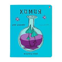 Тетрадь предм. 48л. АЛЬТ "Школа волшебства-Химия" 7-48-1145/06 мел.карт.,фольга (клетка)