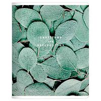 Тетрадь 48л. (клетка) Be Smart "Botanica. Эвкалипт рамка" N4169 микротекстур.,лам.,скругл.углы