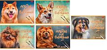 Альбом для рис.20л. ХАТ "Наши верные друзья" тиснение,асс.