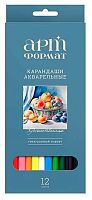Карандаши аквар. 12цв. ARTформат AF03-041-12 трёхгр.