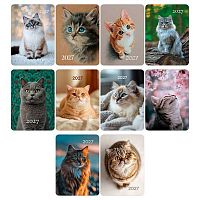 Календарь карм. 2027г. BG "Коты" 391698 глянц.лам.,65*95мм,210г/м2,асс.