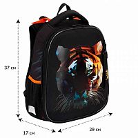 Ранец КОКОС "ERGO First Wild Tiger" 213769 2отд.,эргоном.спинка,29*37*17см