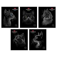 Тетрадь 48л. (клетка) ХАТ "Black Cat" мат.лам.,3D-лак,асс.