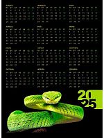 Календарь настенный листовой А2 2025г. Проф-Пресс "Ярко-зелёная змея" КН-7169 мел.бум.