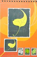 СБ Блокнот А5-  64л. (верх.спираль) пластик прозр. "Офисный" (Листья)142х200