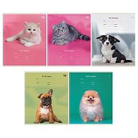 Тетрадь 12л. (клетка) BG "Little animal" 08880