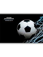 Альбом для рис.40л. Проф-Пресс "Мяч в сетке" А40-8232 на скобе,лён