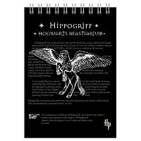 Блокнот А5  60л. CENTRUM спираль "Гарри Поттер" 76404 клетка,целлюл.карт.