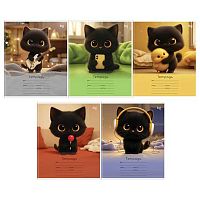 Тетрадь 12л. (клетка) BG "Котёнок Дымка" 62867 асс.