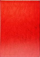 Обложка д/классного журнала ДПС с картоном 2137.Ж-102 красный