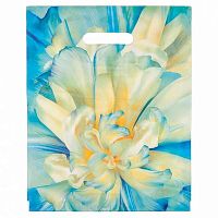 Пакет проб. 30*37 ПВД "Молли" 90мкм