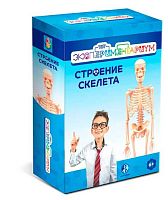 Опыты 1TOY Экспериментариум "Строение скелета" T17574