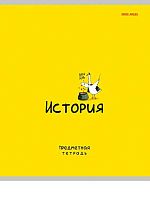Тетрадь предм. 48л. Проф-Пресс "Mini Friends-История" 48-2510 тисн.,лён (клетка)