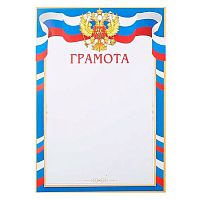 Грамота МО 9-19-343 РФ,тонк.