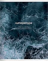 Тетрадь предм. 48л. Be Smart "Океан-Литература" N5638 справ.инф.,лам. (линейка)