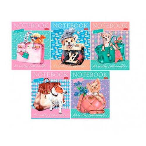 Тетрадь 48л. (клетка) ХАТ "Fashion Dogs" 48Т5В1 скругл.углы,асс.5в.