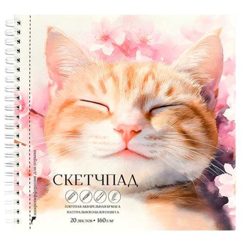 Альбом д/рис.20л. 195*195мм ФЕНИКС спираль "Спящий кот" 70147 рис.бум.,160г/м2 (скетчпад)