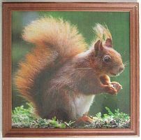 Фоторамка Сосна Питер 20*20 3N88 красное дерево,ширина багета-16мм