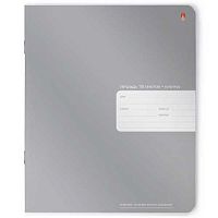 Тетрадь 18л. (клетка) АЛЬТ "PLATINUM" 7-18-587/1