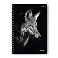 Тетрадь 80л. (клетка) А4 SVETOCH спираль "Волк" Т217 (01572) тв.обл.,мат.лам.
