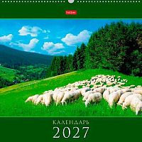 Календарь настенный 2027г. ХАТ спираль Каре "Знак Года" 36472 мел.,ригель,44,5*44,5см 096032
