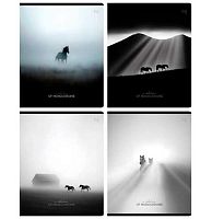 Тетрадь 48л. (клетка) BG "Monochrome" 08801мат.лам.,асс.