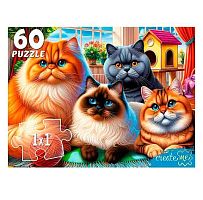 Пазлы   60 Рыжий кот "Селфи красивых котов" УК60-0224