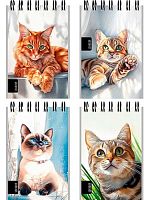 Блокнот А7  40л. Проф-Пресс спираль "Нарисованные котики" Б40-9320 мел.карт.,клетка