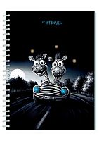 Тетрадь 40л. (линейка) АППЛИКА спираль "Весёлые зебры" С0155-03
