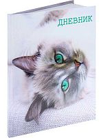 Дневник 5-11кл. Проф-Пресс Calligrata тв.обл. "Кошка" 2967475 глянц.лам.