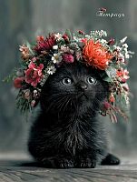 Тетрадь 96л. (клетка) АППЛИКА спираль "Чёрный котенок" С2277-58 обл.карт.