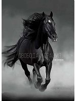 Ежедневник н/д А5  80л. Проф-Пресс тв.обл. "Бег коня-1" 80-4700 глянц.лам.,цв.мел.обл.