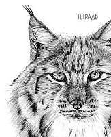 Тетрадь 40л. (клетка) АППЛИКА "Рысь" С6046-39 обл.мел.карт.