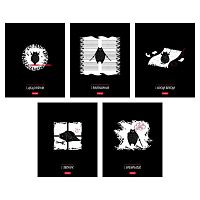 Тетрадь 48л. (клетка) ХАТ пластик.обл. "Кот-самурай" асс.