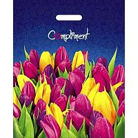 Пакет проб. 38*47 ПВД Комплимент ламинация 60мкм