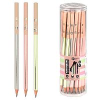 Карандаш ч/гр. ФЕНИКС "Минимализм" 67809 HB,трёхгр.,светл.дерево,асс.,пэт-тубус