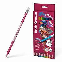 Карандаши 12цв. EK "Safari" 61818 стираемые с ластиком,кругл.,грифель 3,3мм,к/к