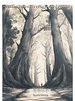 Скетчбук А5  64л. Проф-Пресс тв.обл. спираль "Тёмный лес" 64-1780 мат.лам.,100г/м2