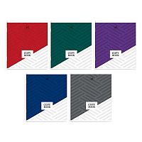 Тетрадь 48л. (клетка) ФЕНИКС "Минимализм" 66712  выб. твин лак,мел.карт.,асс.